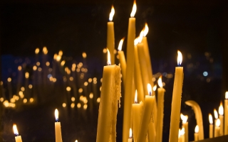 206-Lourdes 2023-1268